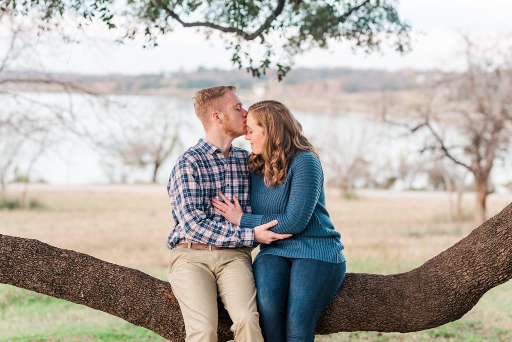 Couple forehead Kiss while sitting in a tree at White Rock Lake engagement session